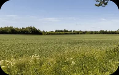 Sustainable land project